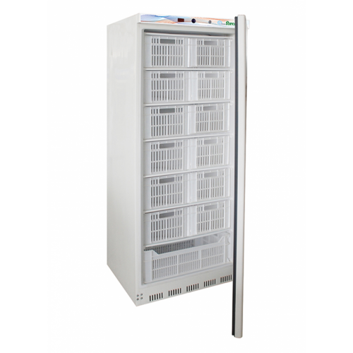 Tiefkühlschrank EF 600 CAS